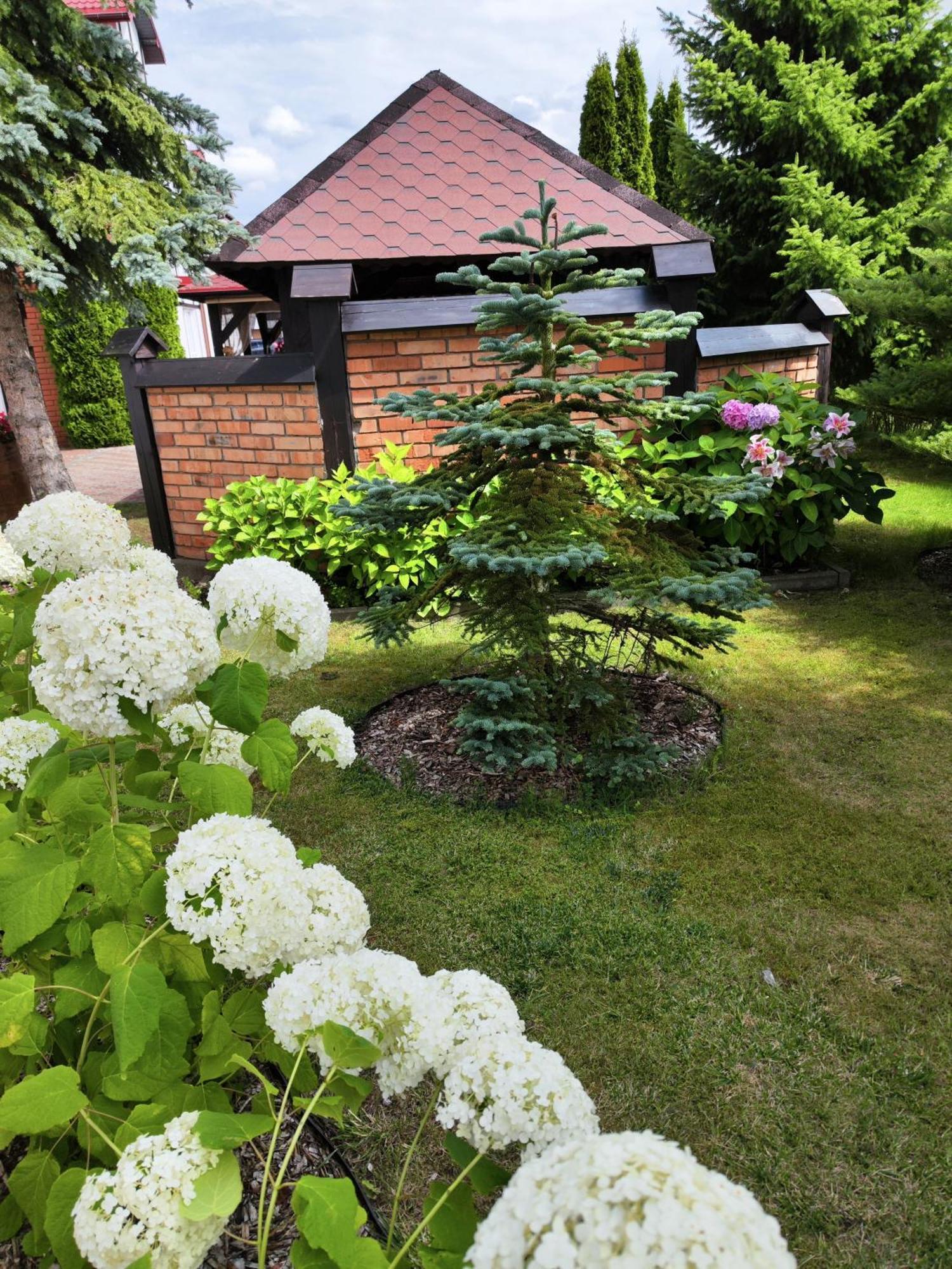 Michalek W Rowach Bed & Breakfast Рови Екстериор снимка