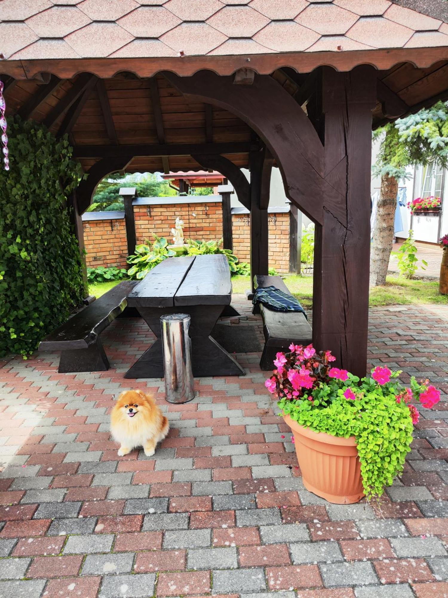 Michalek W Rowach Bed & Breakfast Рови Екстериор снимка