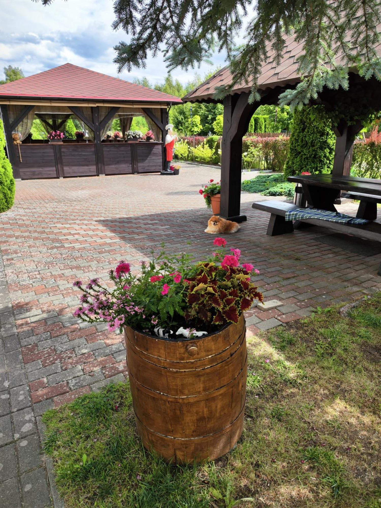 Michalek W Rowach Bed & Breakfast Рови Екстериор снимка